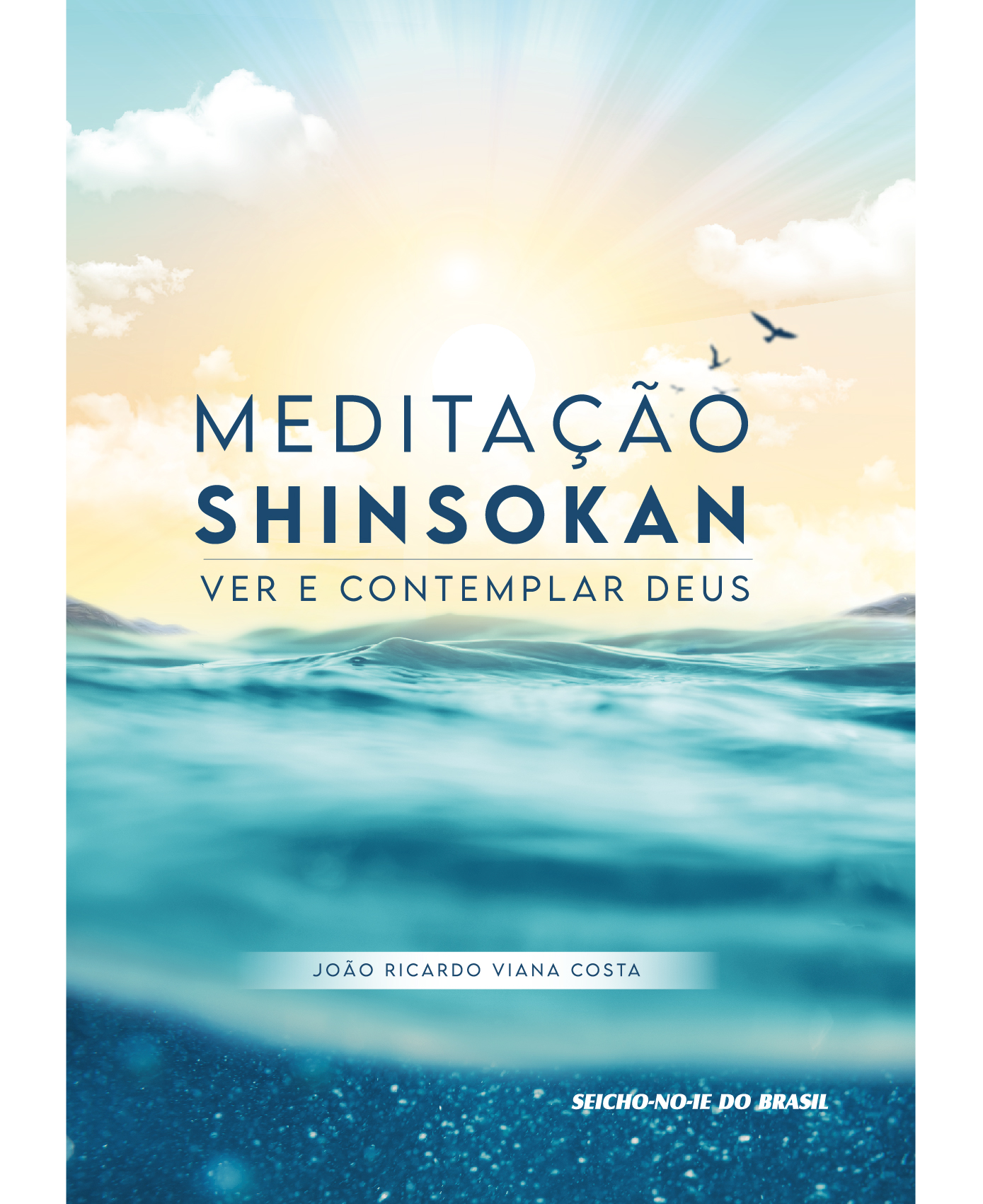 Home 54 Meditação Shinsokan