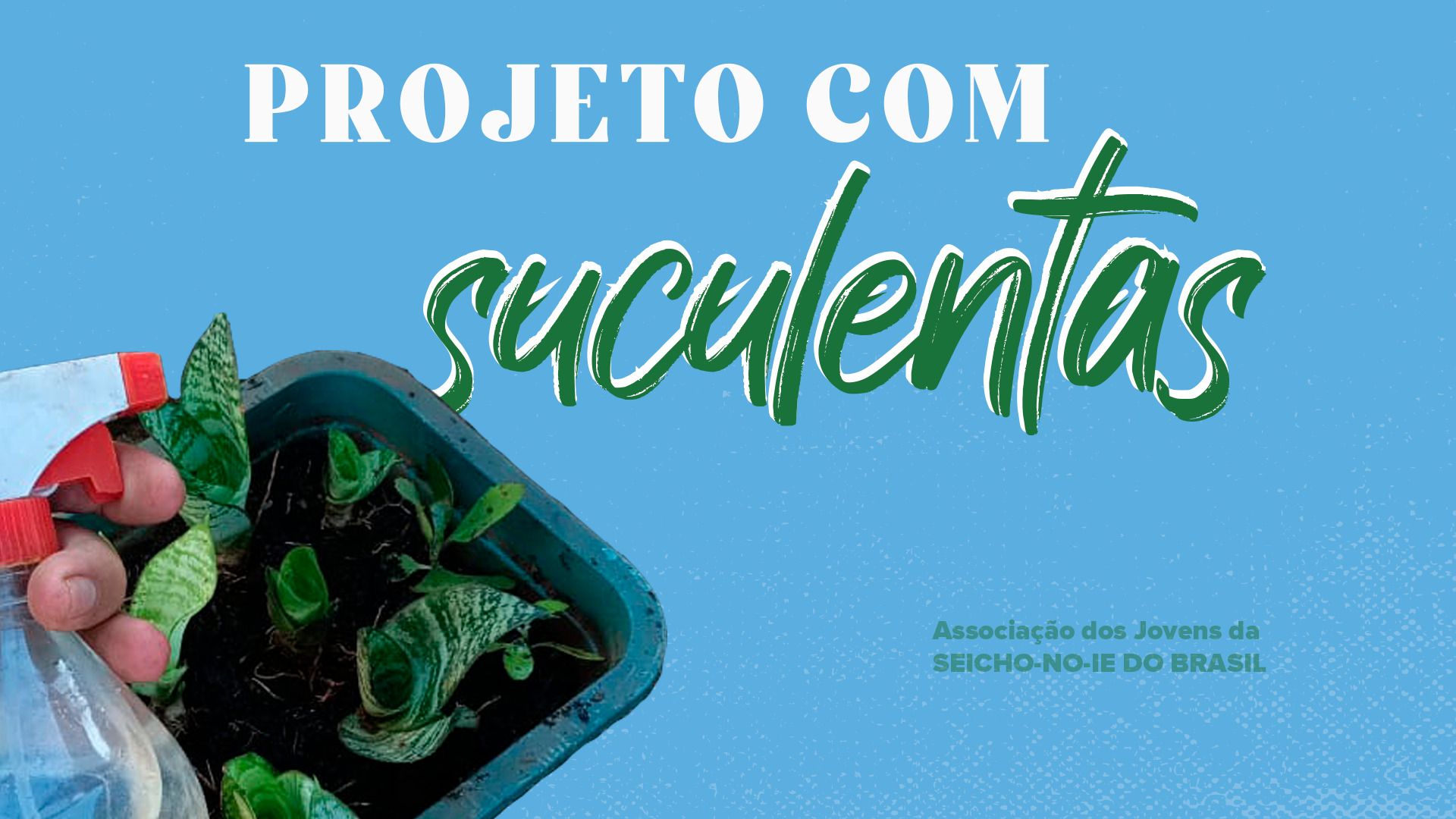 09 suculentas Projeto com suculentas Texto por Gabriela Ferreira Fernandes Ribeiro, Regional GO-GOIÂNIA.