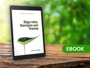 Livro ebook Siga reto sempre em frente