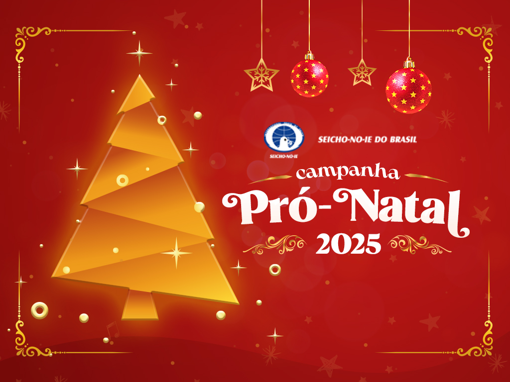 pro natal miniatura Campanha Pró-Natal Uma campanha onde o amor é a premissa para garantir um Natal mais farto e feliz para milhares de pessoas pelo Brasil inteiro!